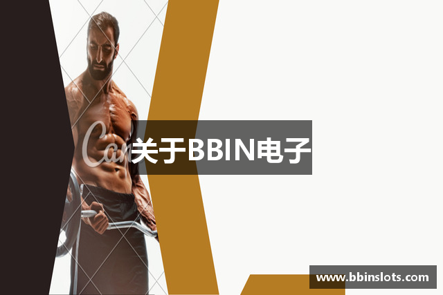 关于BBIN电子